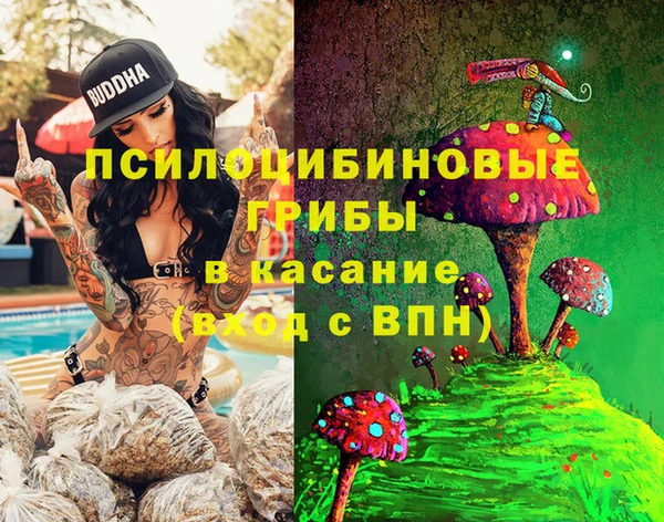 эйфоретик Баксан