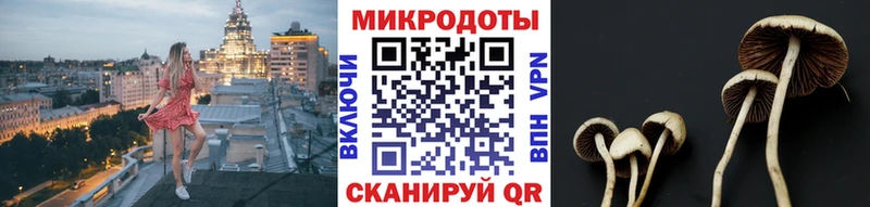 Галлюциногенные грибы Magic Shrooms  Лесозаводск 